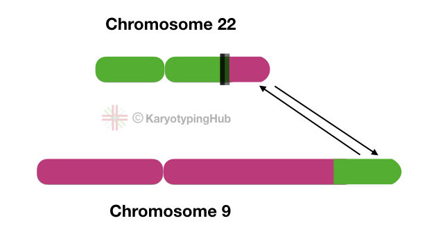 The Philadelphia chromosome