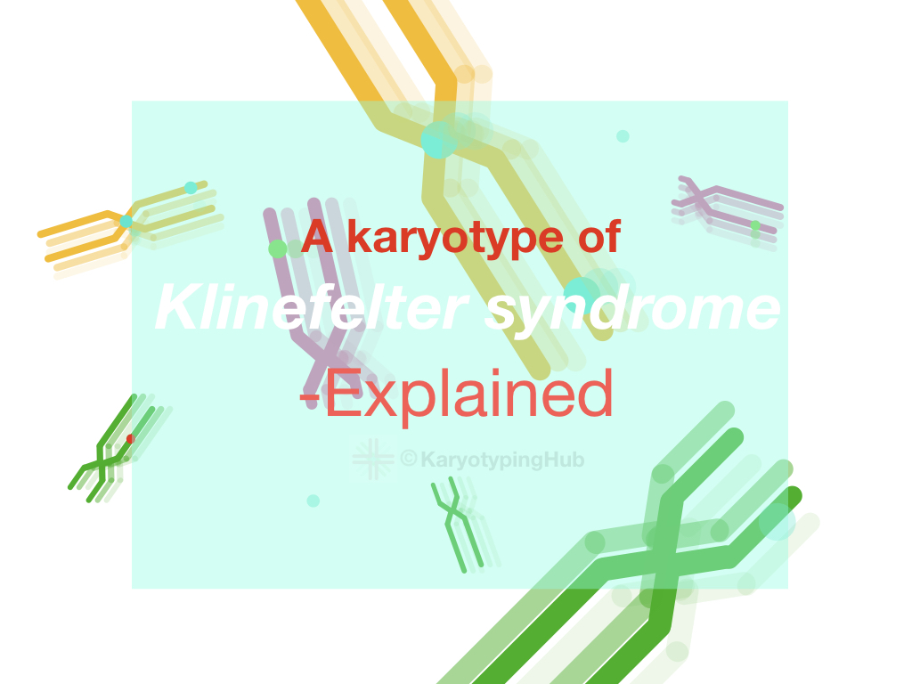 A karyotype of Klinefelter syndrome