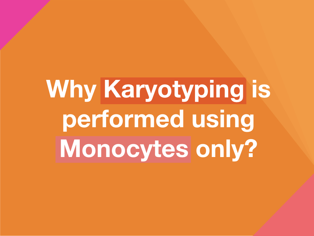 Why Karyotyping is performed using Monocytes only?