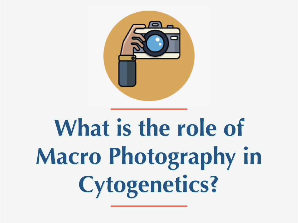 what is the role of macro photography in karyotyping?