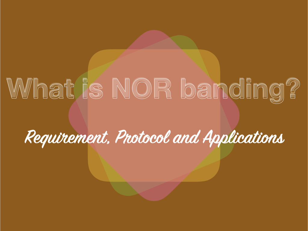 What is NOR Banding?- Requirement, Process, Protocol and Applications