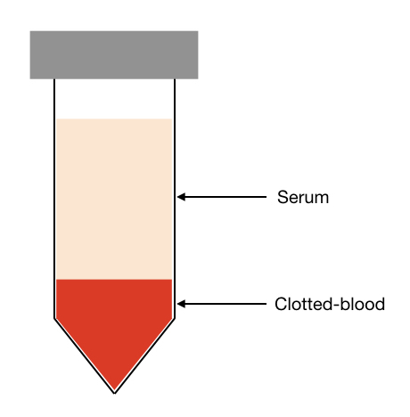 What is FBS (Fetal Bovine Serum)?- Definition, Processing, Benefits, Applications and Limitations