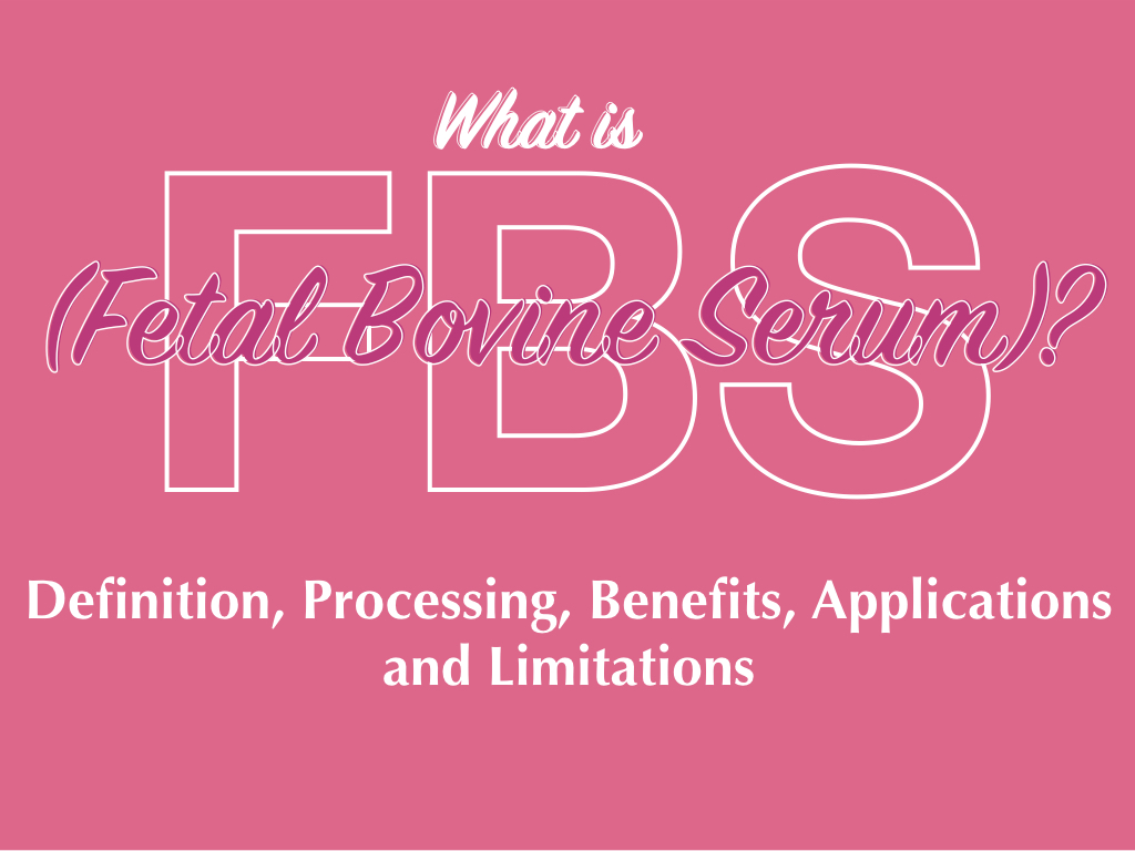 What is FBS (Fetal Bovine Serum)?- Definition, Processing, Benefits, Applications and Limitations